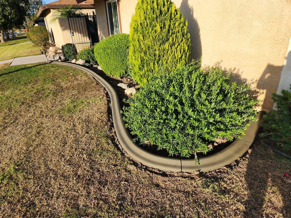 A concrete curb surrounds a bush in front of a house.