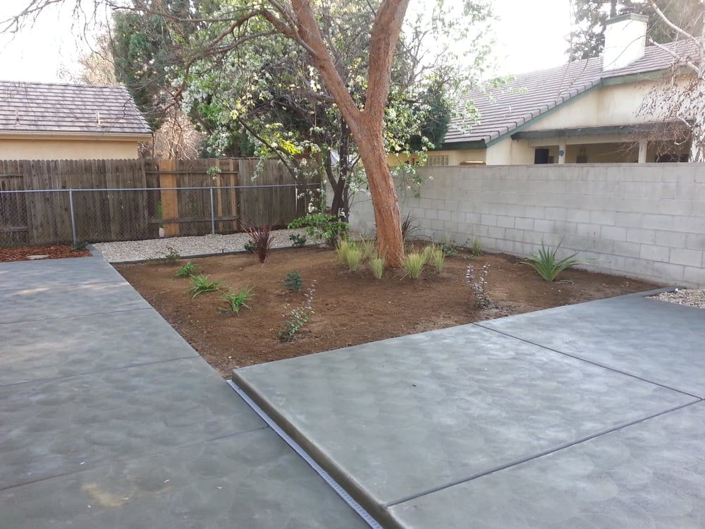 A concrete driveway with a tree in the middle of it