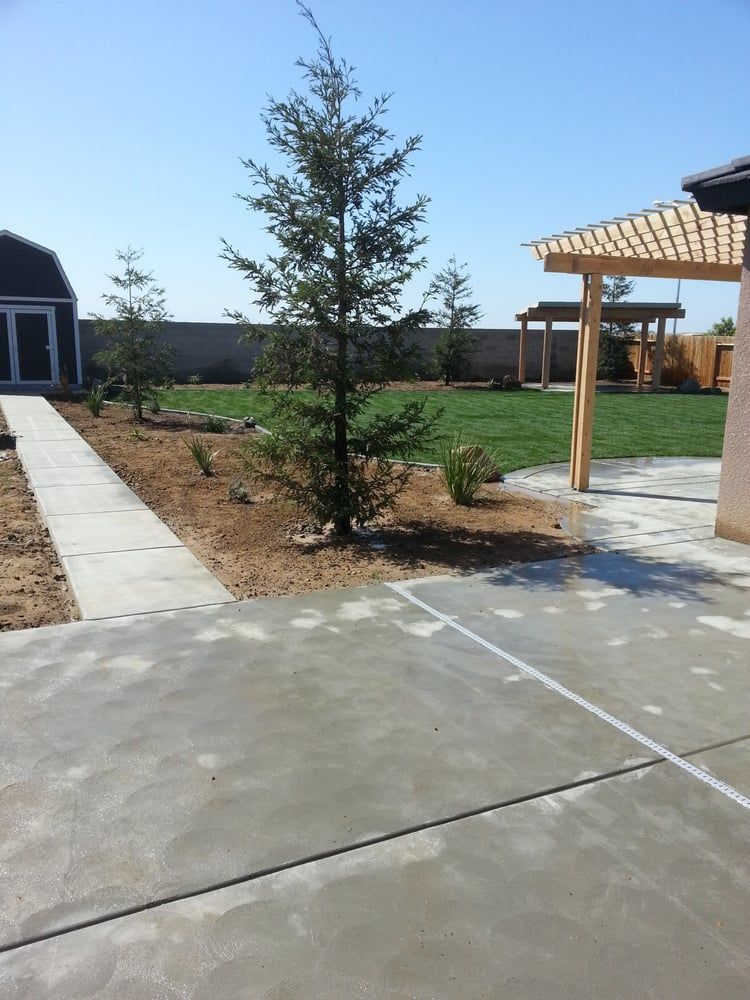 A tree is in the middle of a concrete driveway
