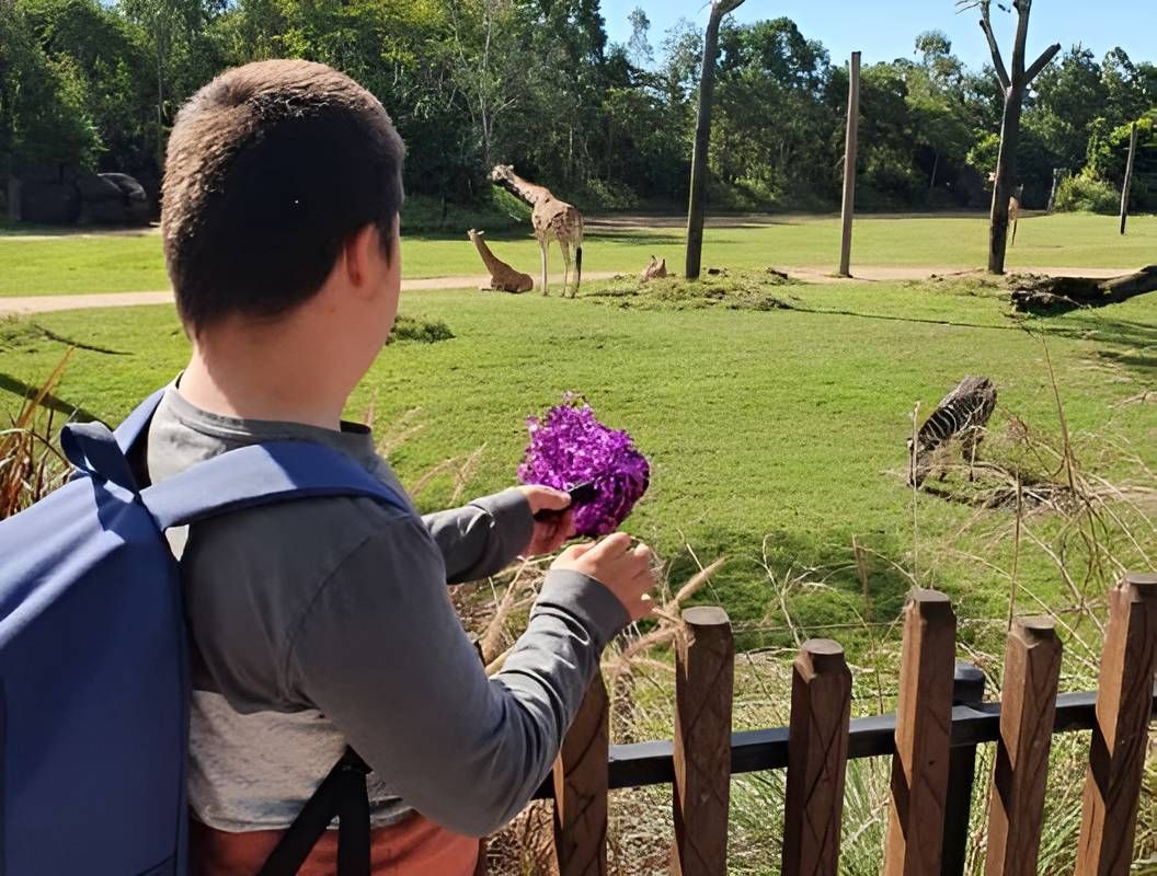 A Boy With A Backpack Is Holding A Purple Flower In Front Of A Giraffe — Tailored Support Services Pty Ltd In Mountain Creek, QLD