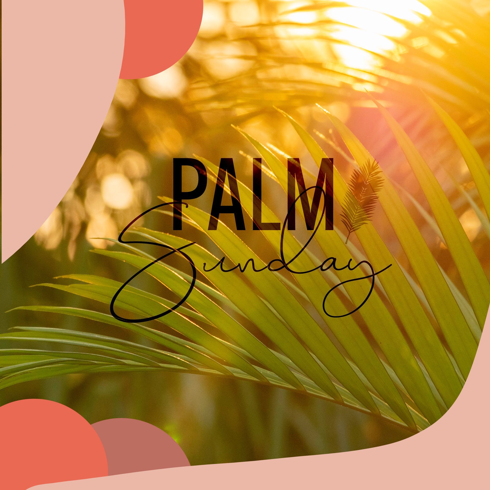 Palm Sunday at Silver Spring Presbyterian Church
