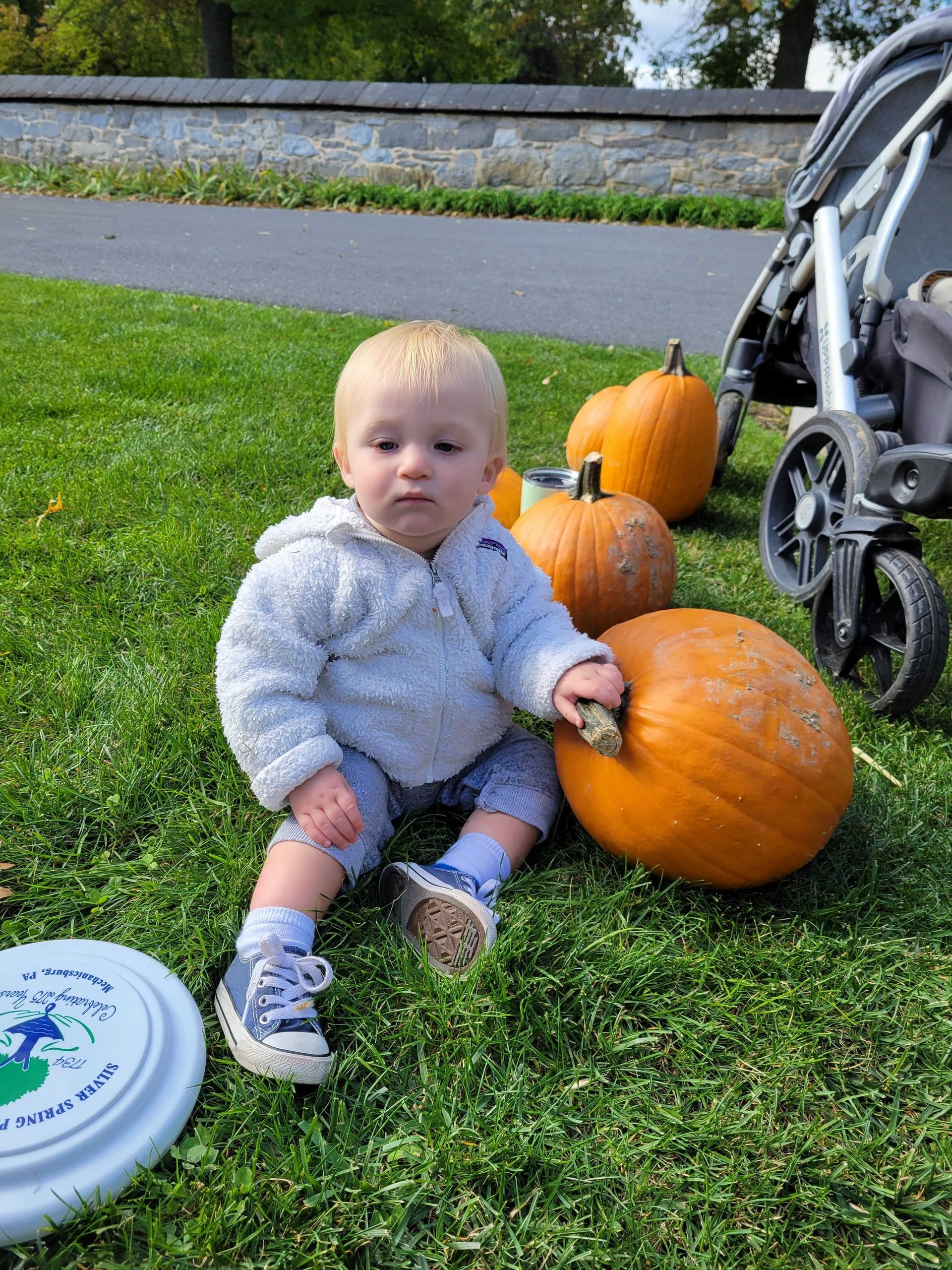 Blond baby in blue fleece sits with pumpkins and a disc in a grassy field. Stroller nearby.