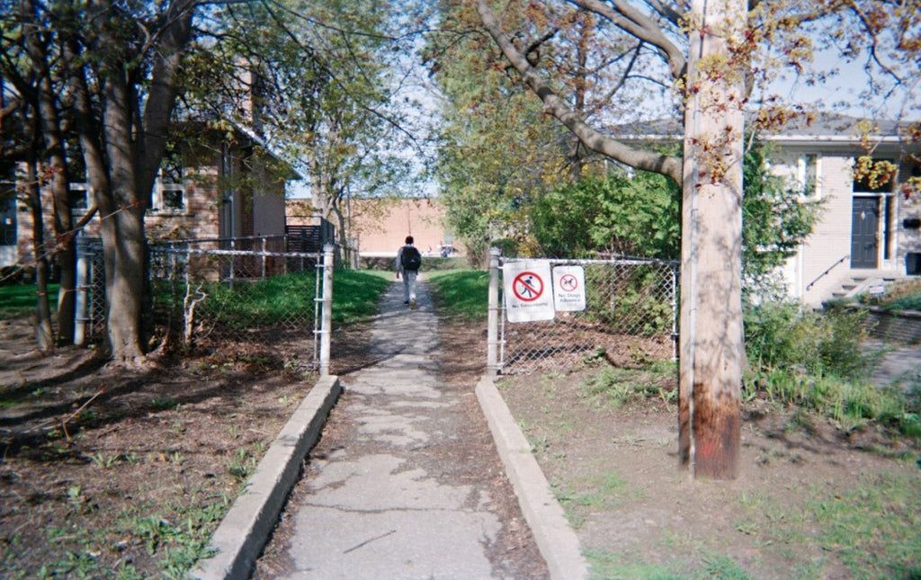 Growth & The Journey