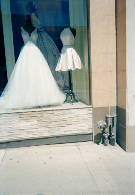 Out of the Shadow: Into the Light