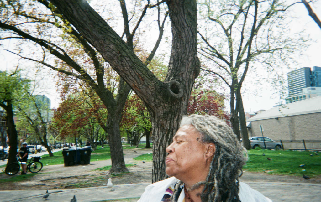 Dreaming with the Trees