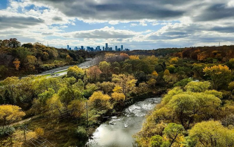 The Illuminated River