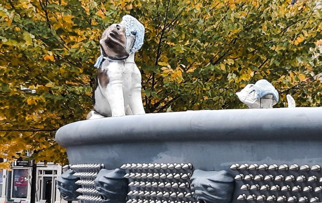 Fountains in the Park