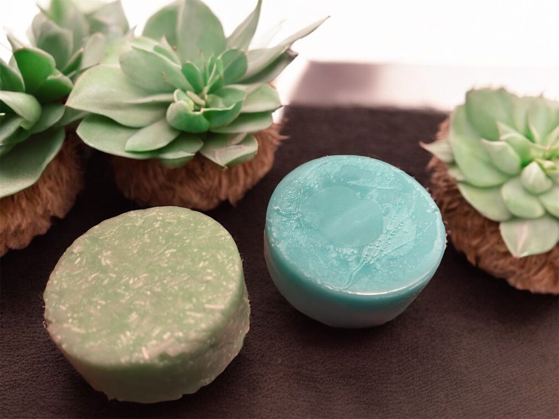 Shampoo and Conditioner Bars (set)