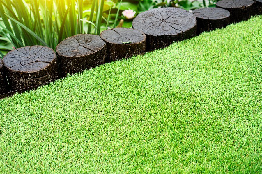 artificial grass in the lawn