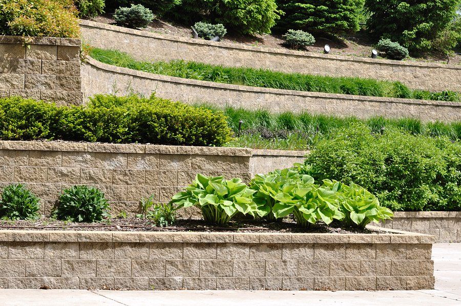 different plants with retaining walls