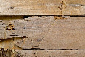 Termite Eaten Wooden Wall - Pest Control Services in Decatur, IL