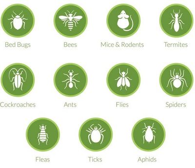 Pest Icons — Pest Control Services in Decatur, IL