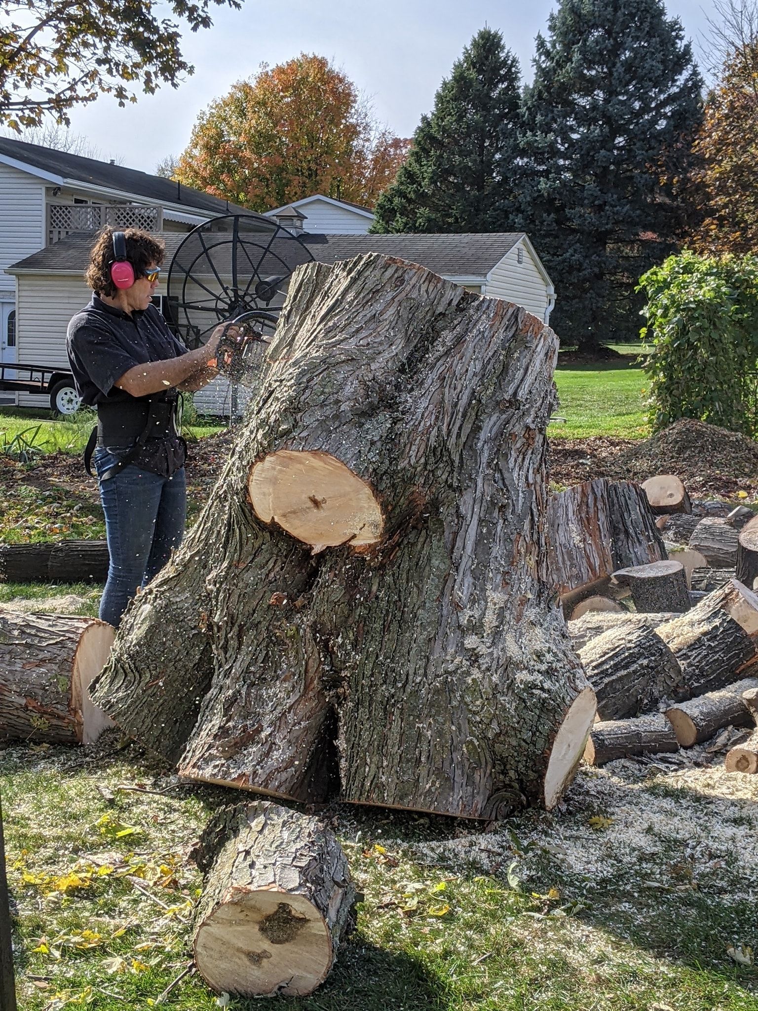 A man is cutting a tree stump with a chainsaw.