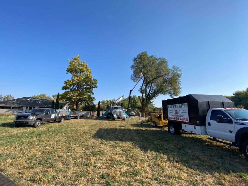 A group of trucks are parked in a grassy field.