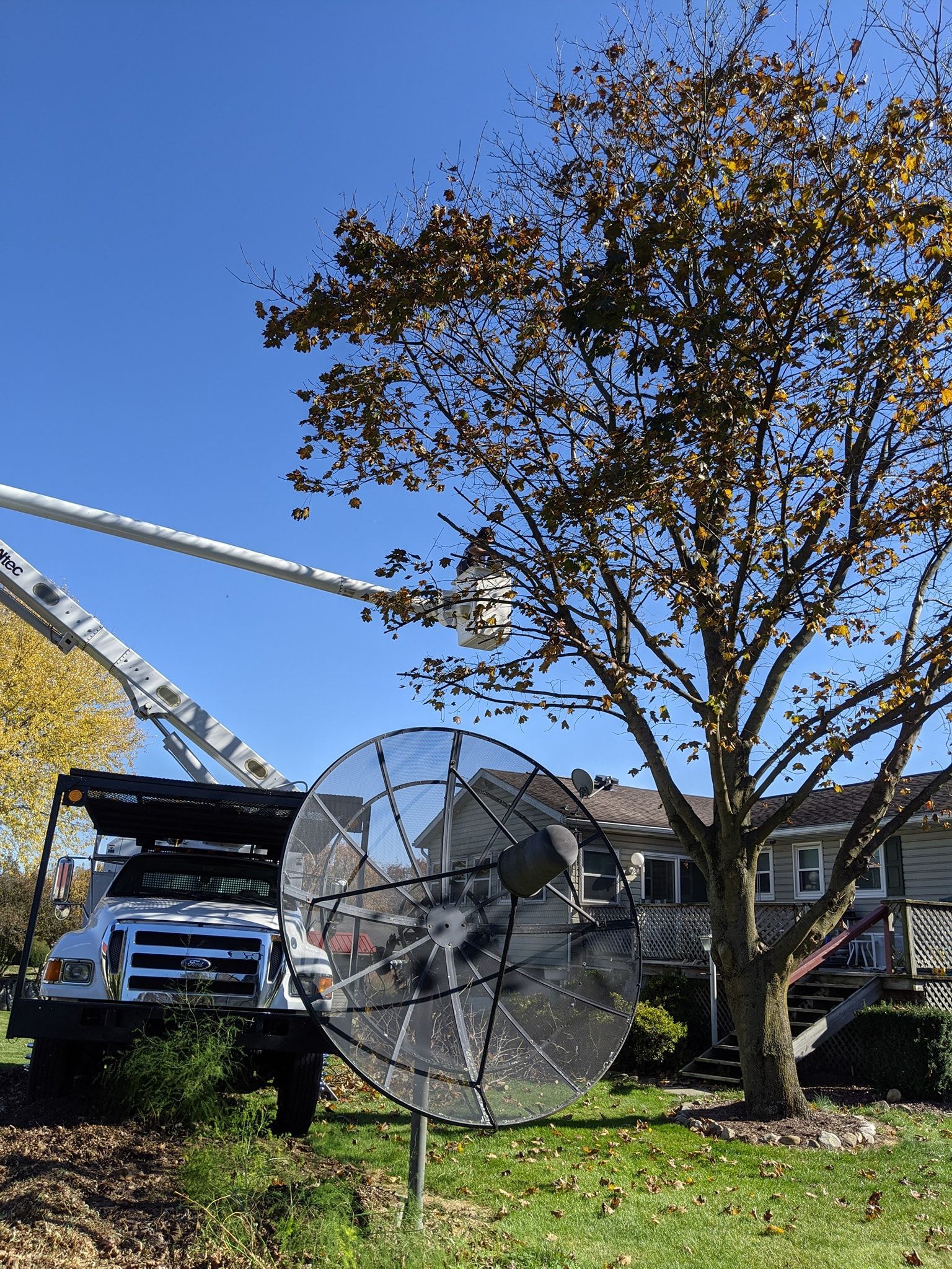 A large satellite dish is sitting in front of a tree.