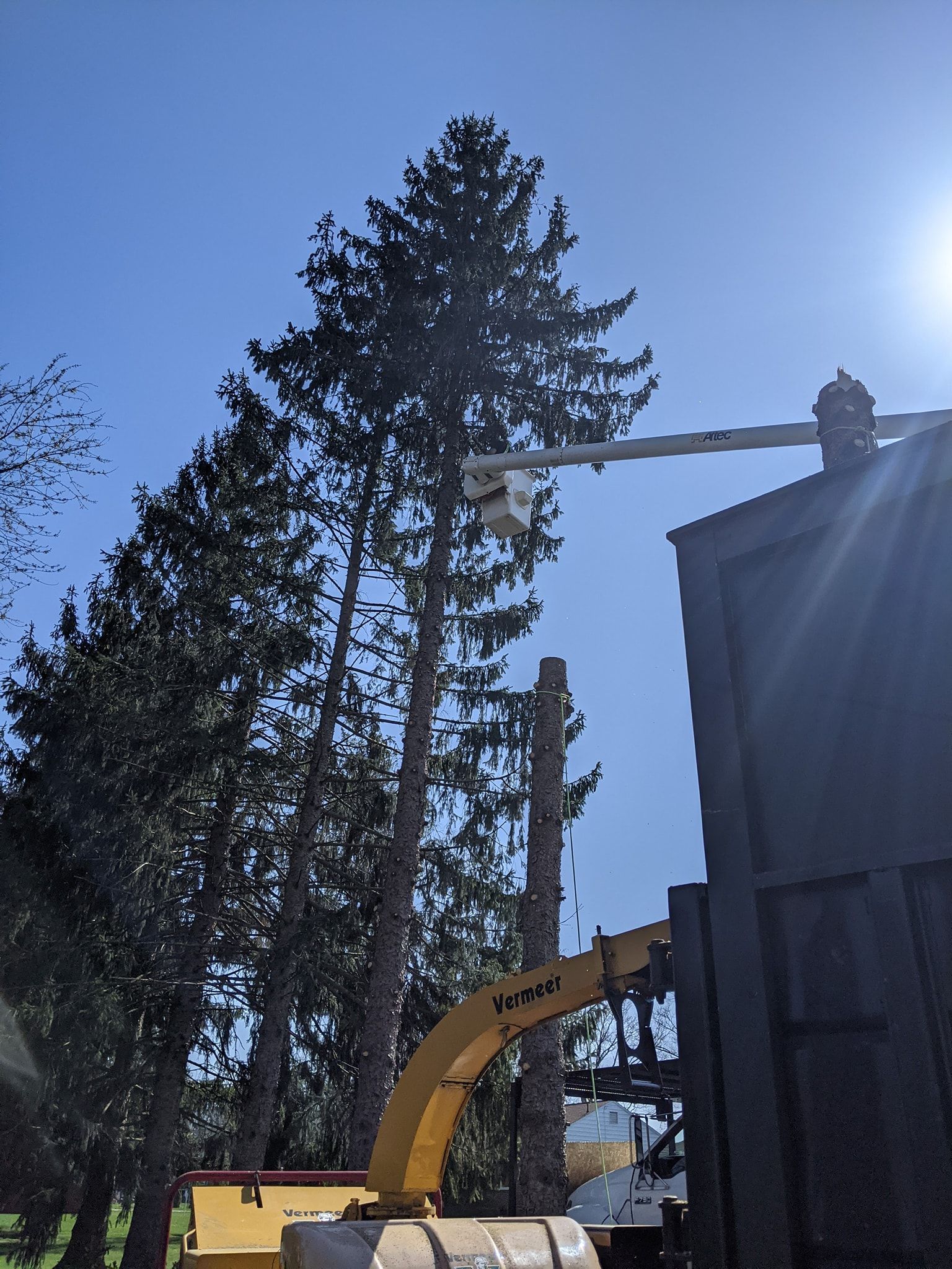 A yellow excavator is cutting a tree in front of a building.
