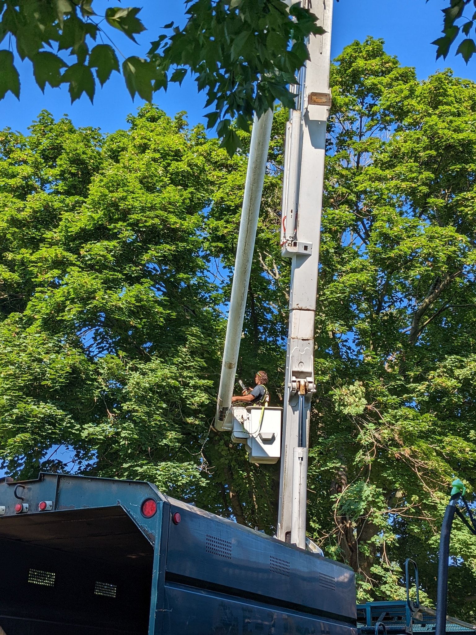 A man is sitting in a bucket on top of a crane.