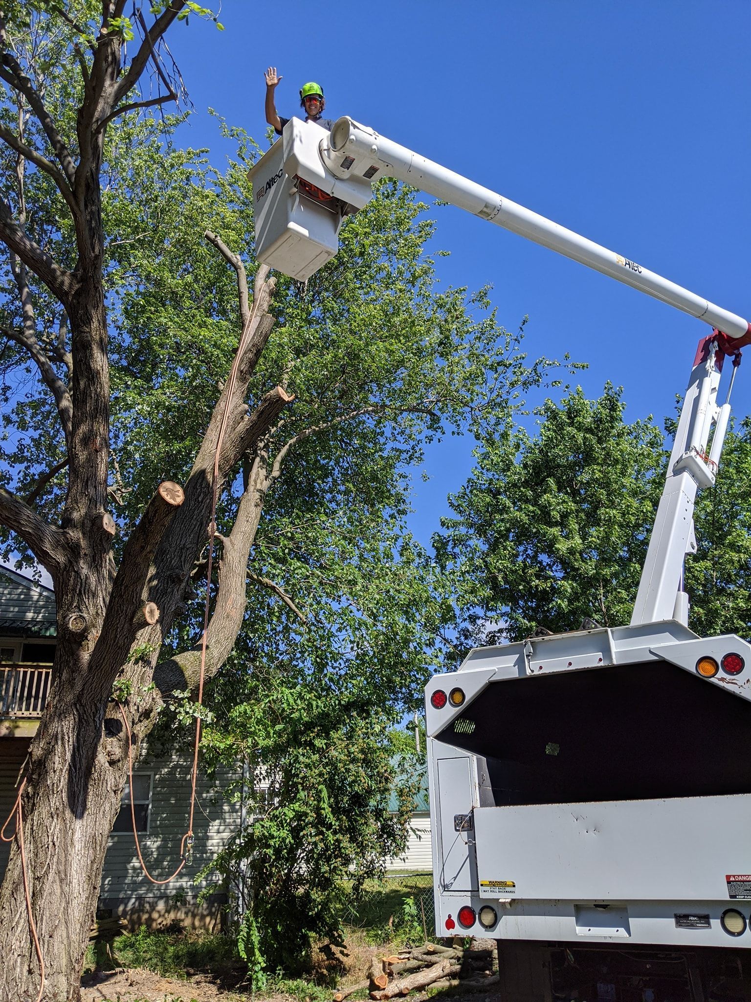 A man is cutting a tree with a crane.