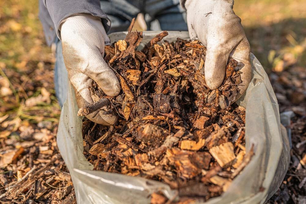 A Person is Holding a Bag of Mulch in Their Hands — Auz Tree in Hallidays Point, NSW