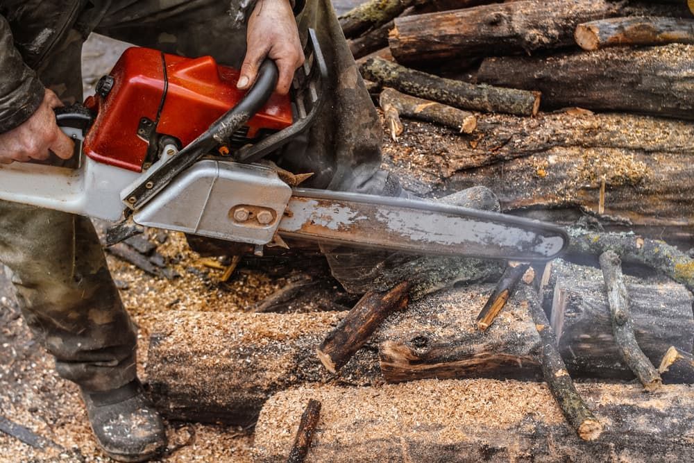 A Man is Cutting a Log With a Chainsaw — Auz Tree in Old Bar, NSW
