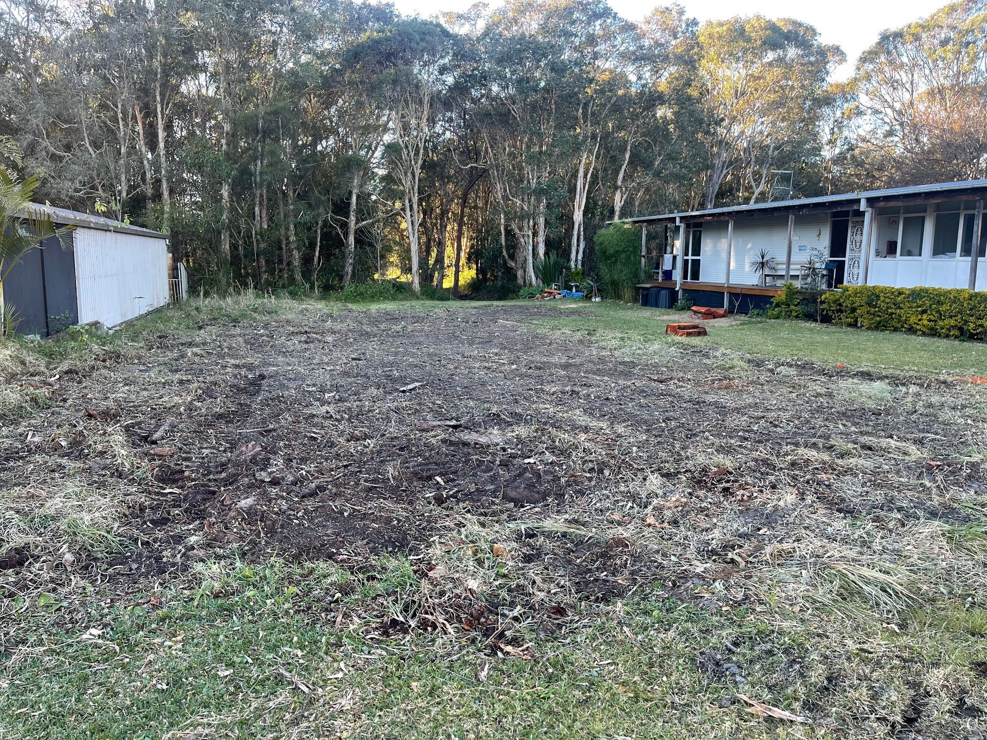 A cleared yard with brown dirt, next to a shed and house, trees in the background. — Auz Tree in Hallidays Point, NSW