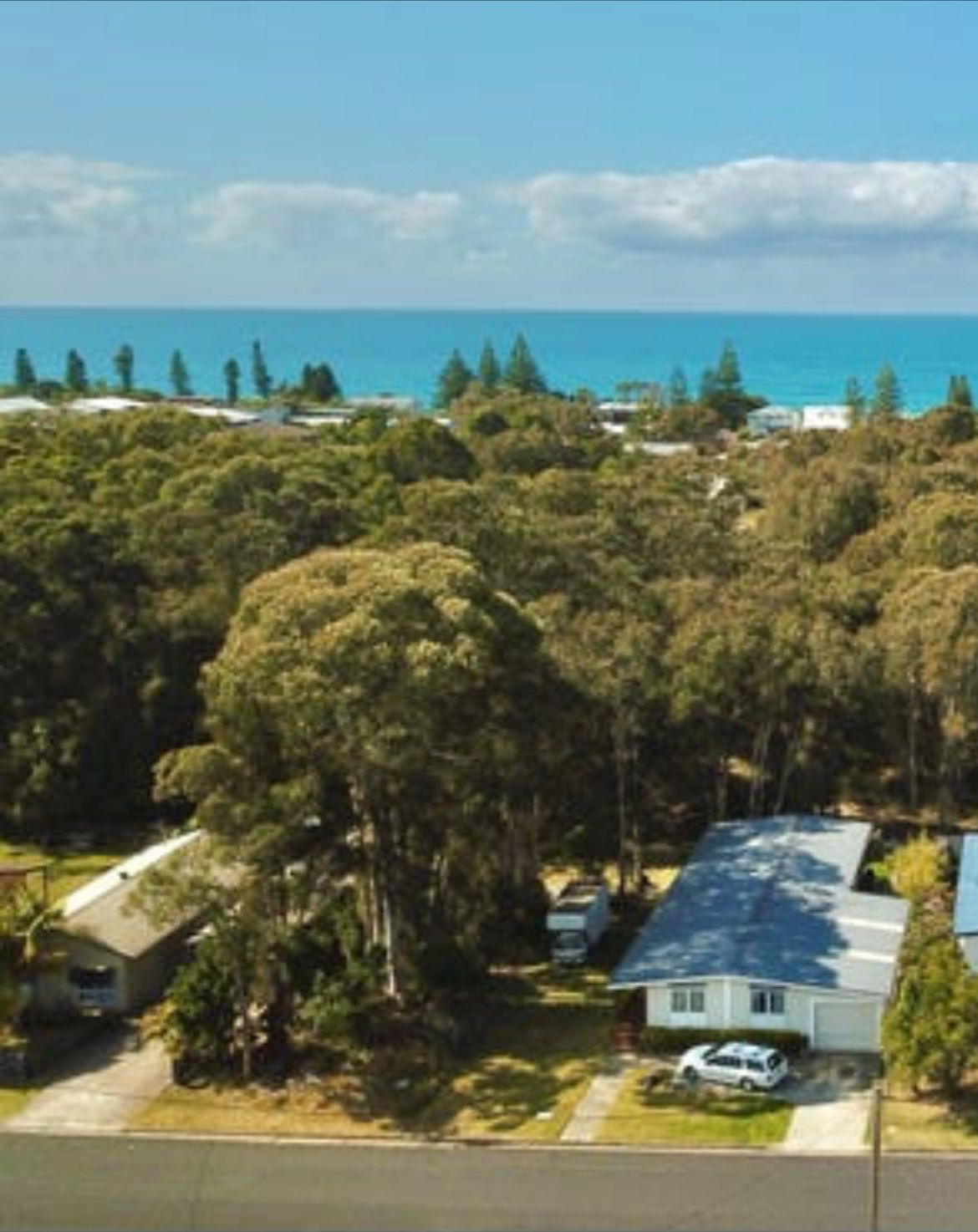 Ocean in the background under a blue sky - — Auz Tree in Hallidays Point, NSW