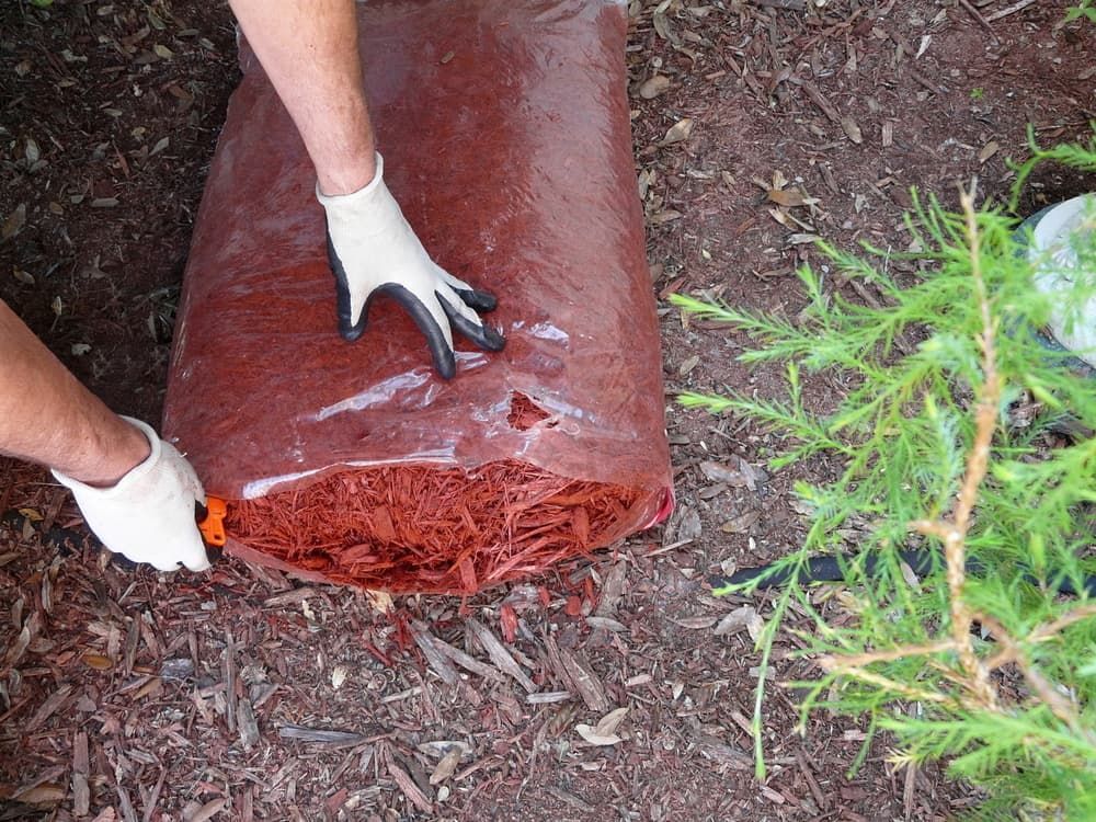 A Person Wearing Gloves is Holding a Bag of Mulch — Auz Tree in Forster, NSW