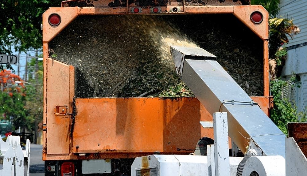 Orange wood chipper truck being filled with chopped wood debris outdoors. — Auz Tree in Hallidays Point, NSW