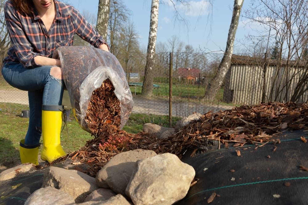 A Woman is Pouring Mulch Into a Pile of Rocks — Auz Tree in Hallidays Point, NSW