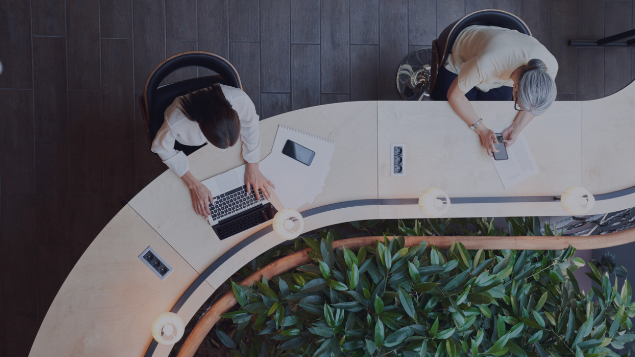 Two employees collaborating in a flexible work environment, featuring indoor plants for wellness.