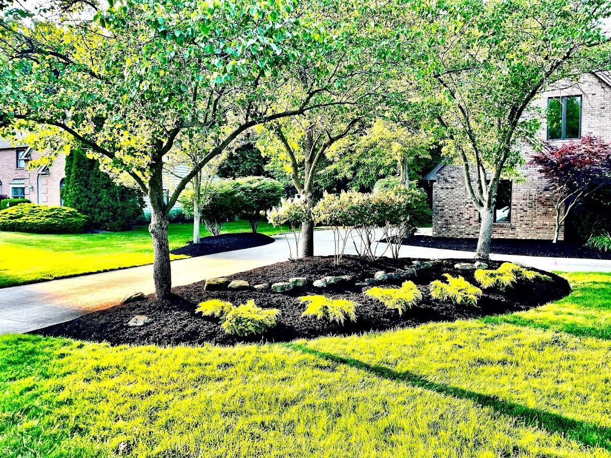 A lush green lawn with trees and bushes in front of a house.