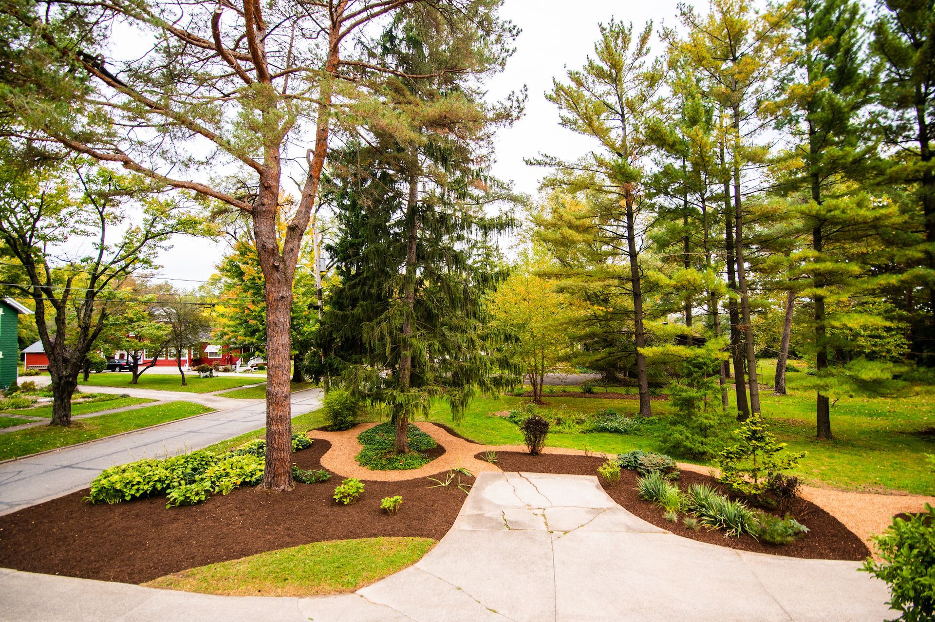 A lush green park with trees and a concrete walkway
