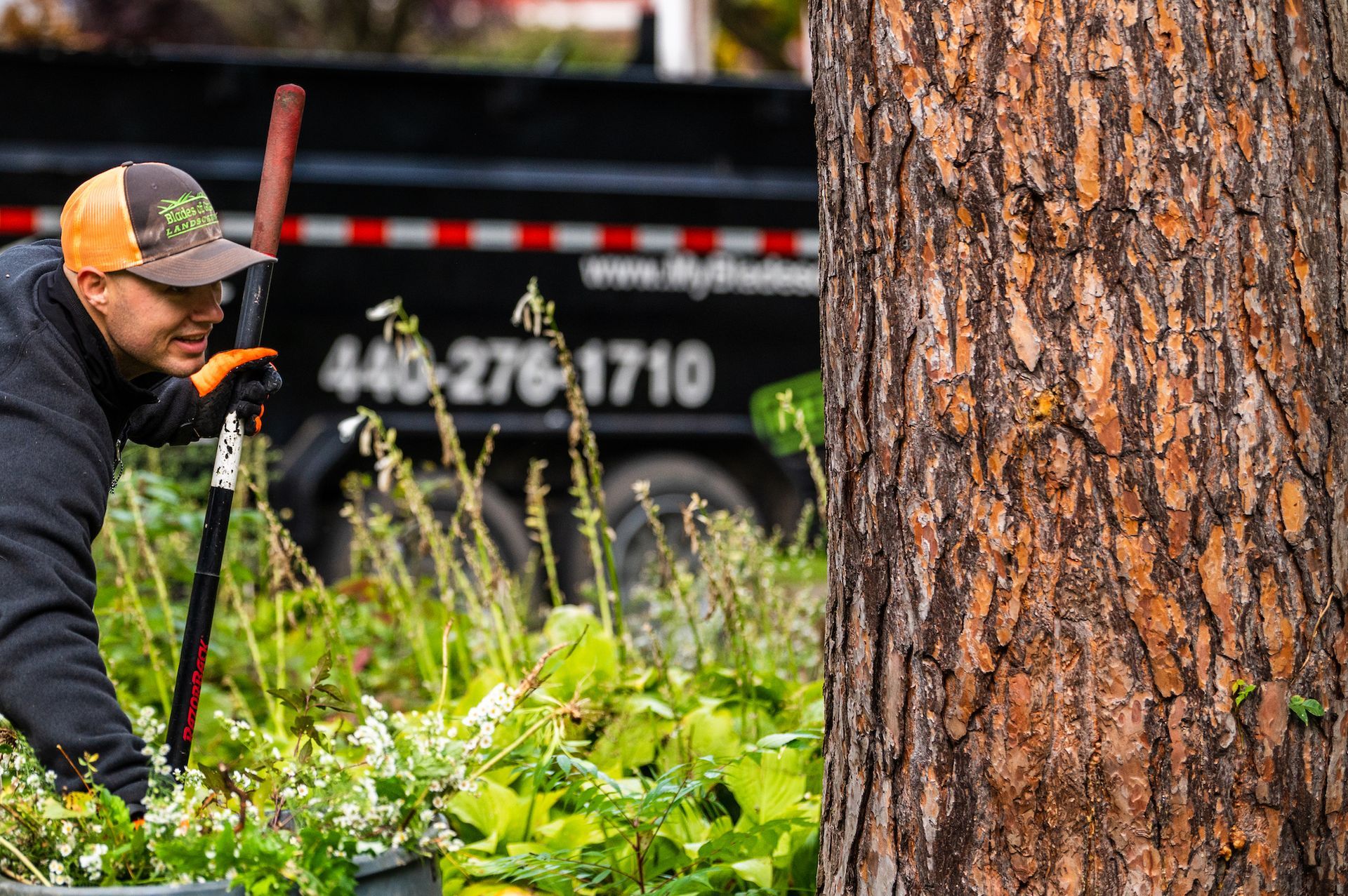 A man is working in a garden next to a tree.