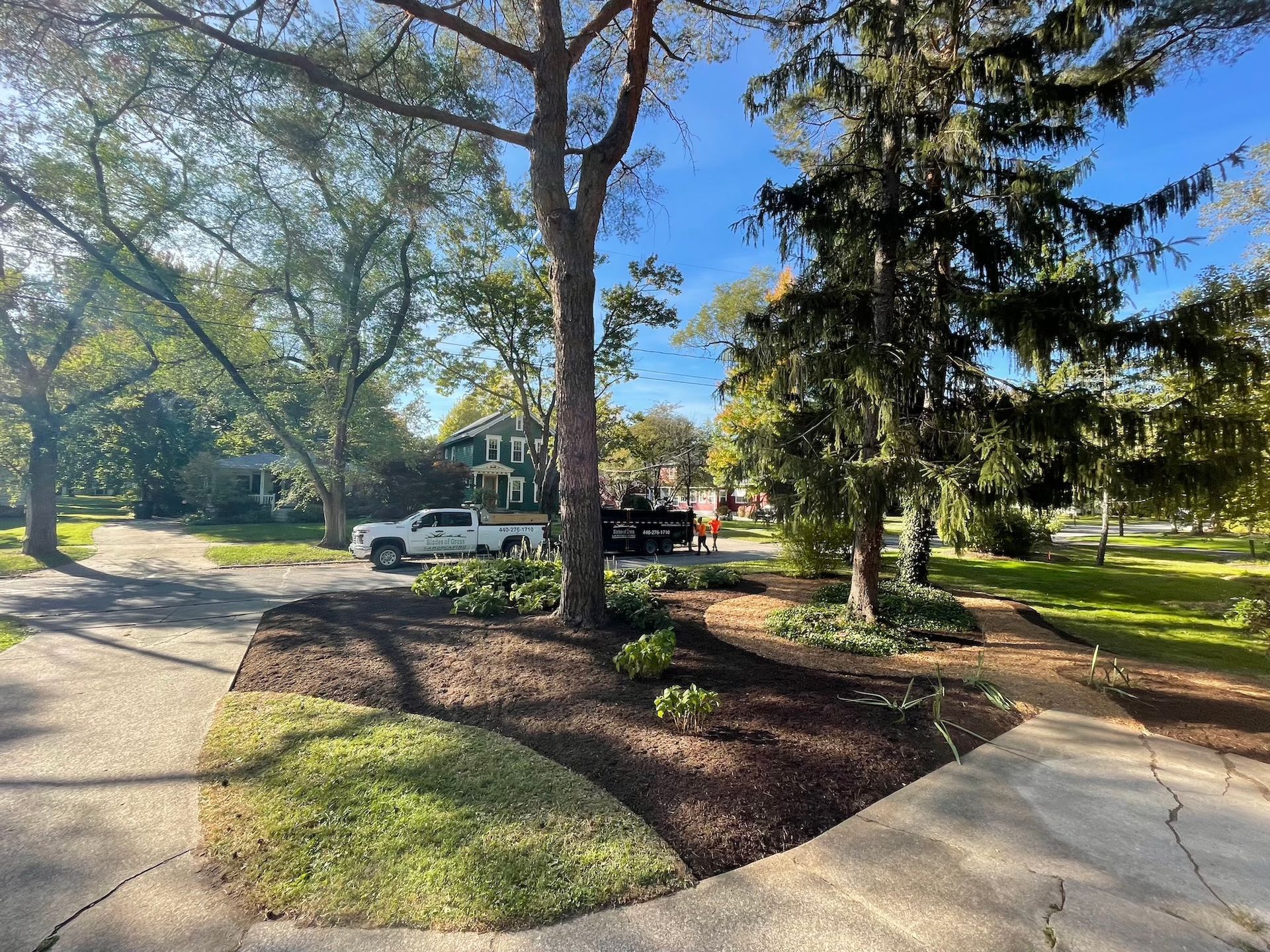 A white truck is parked on the side of the road next to a tree.