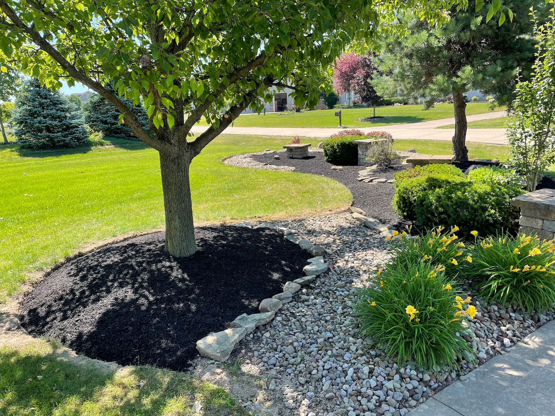 There is a tree in the middle of a lush green yard.