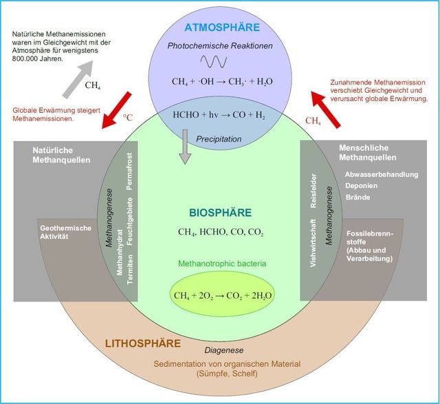 Diagramm der Bildung von Sedimentgesteinen