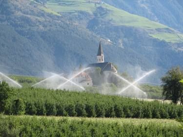 Bewässerung von Obstplantagen