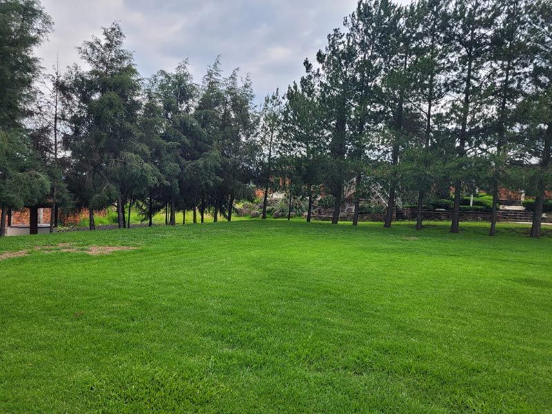 JARDÍN DE EVENTOS FINCA LA PALMA