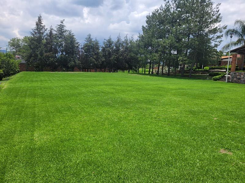 JARDÍN DE EVENTOS FINCA LA PALMA