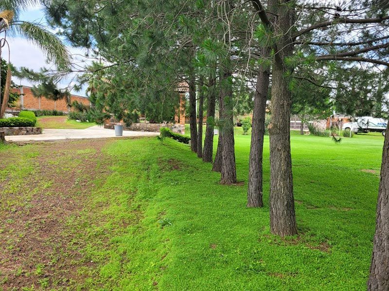 JARDÍN DE EVENTOS FINCA LA PALMA