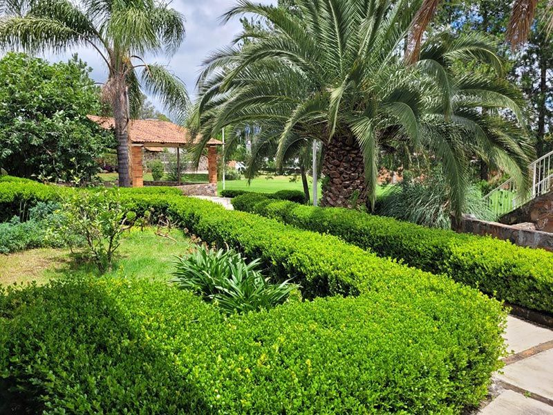 JARDÍN DE EVENTOS FINCA LA PALMA