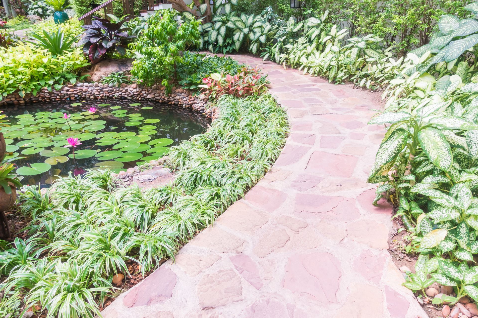 Stone path winds past a pond with lily pads and blooming pink flowers in a lush garden.