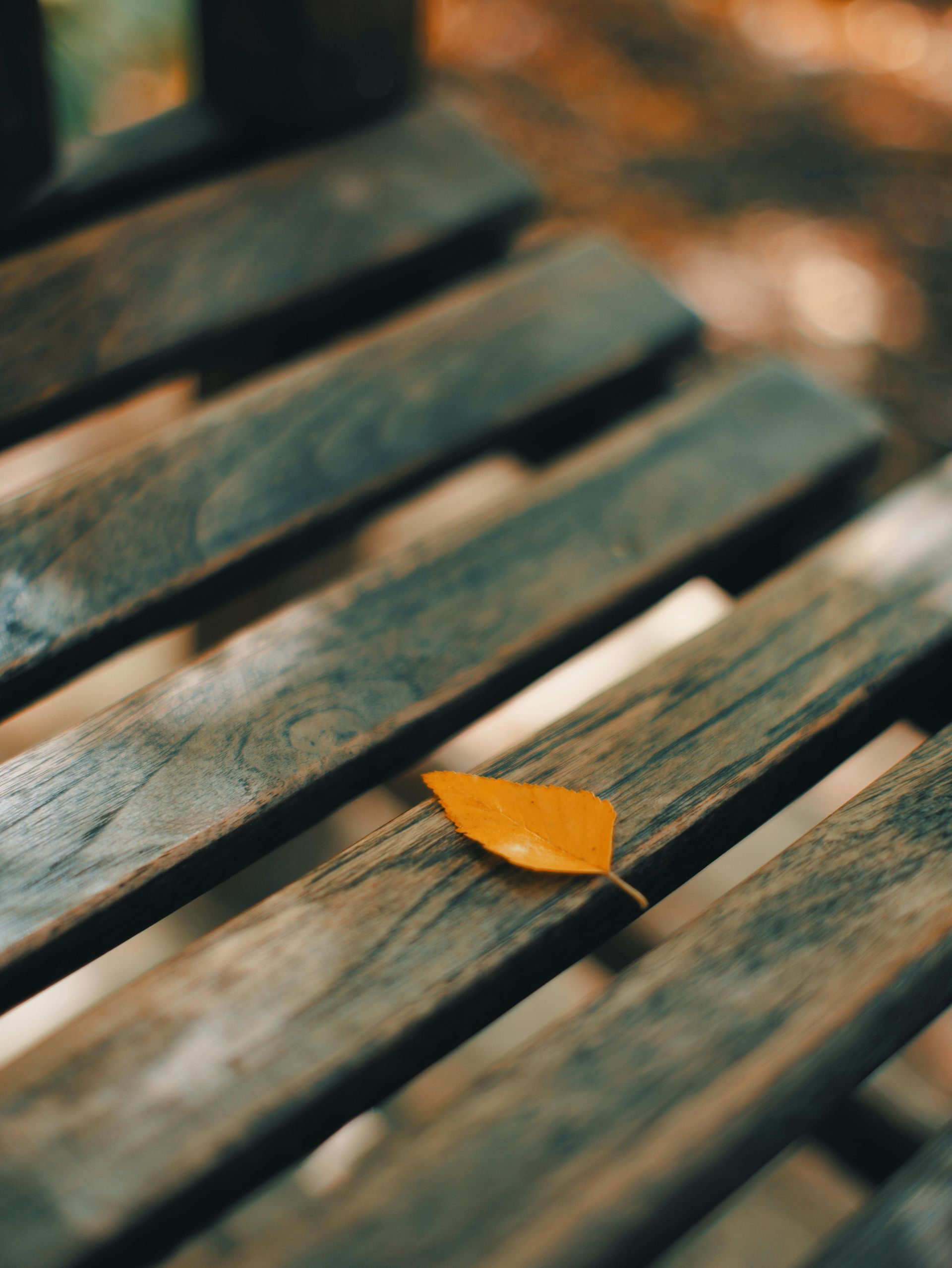 Yellow leaf resting on a weathered, wooden bench outdoors.