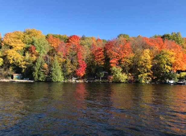 A lake surrounded by trees with colorful leaves on a sunny day.