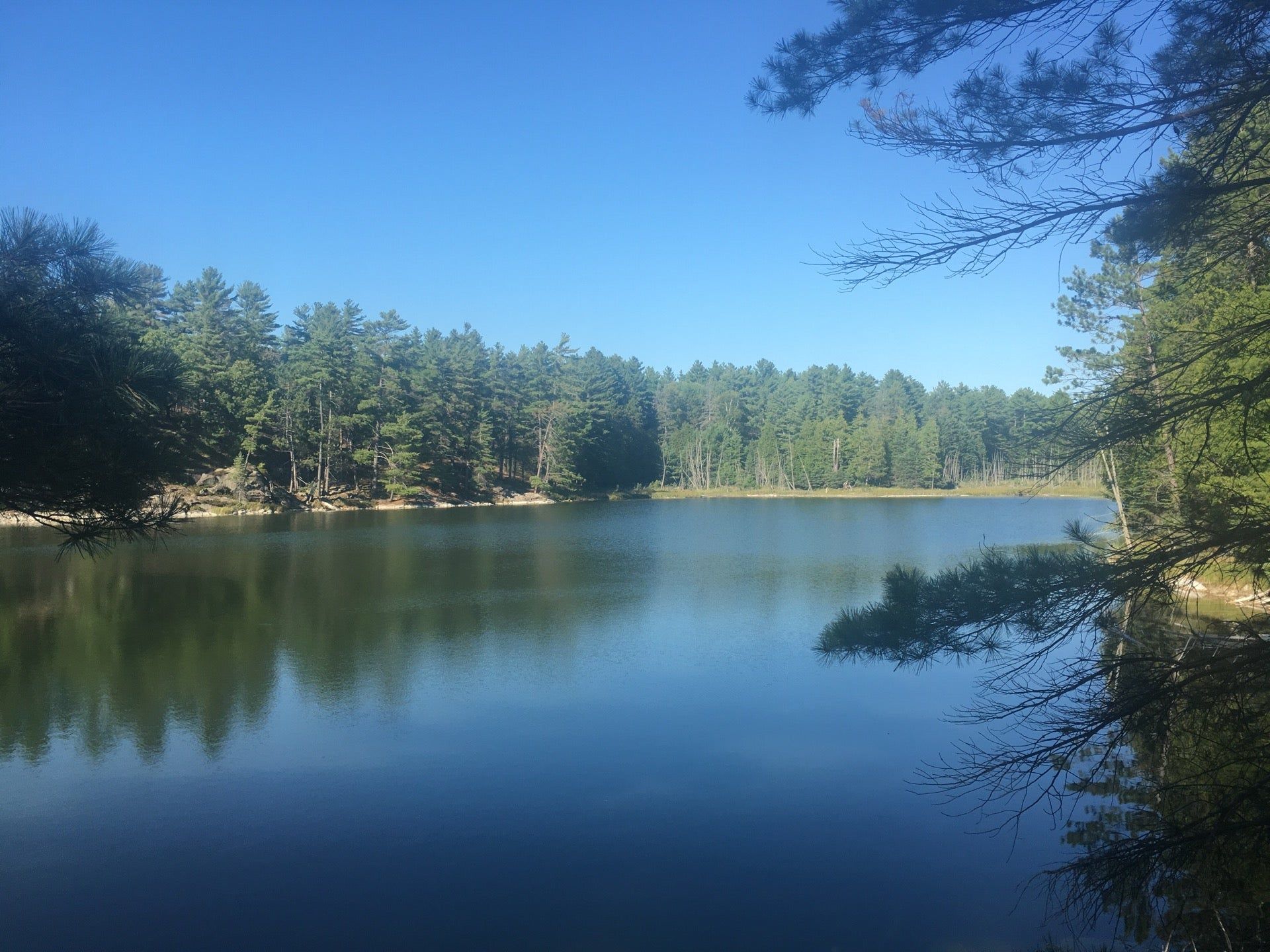 A large body of water surrounded by trees on a sunny day.