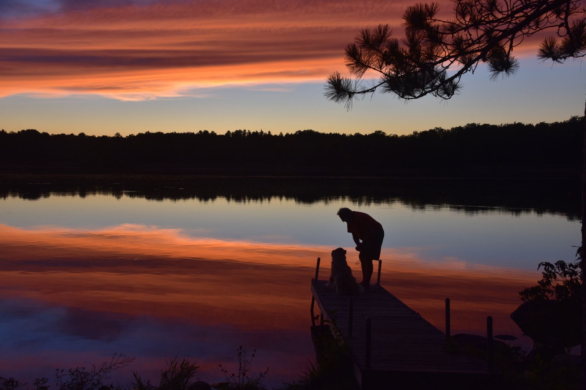 A man and a dog are standing on a dock overlooking a lake at sunset.