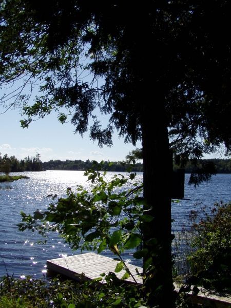 A lake with a dock and trees in the foreground
