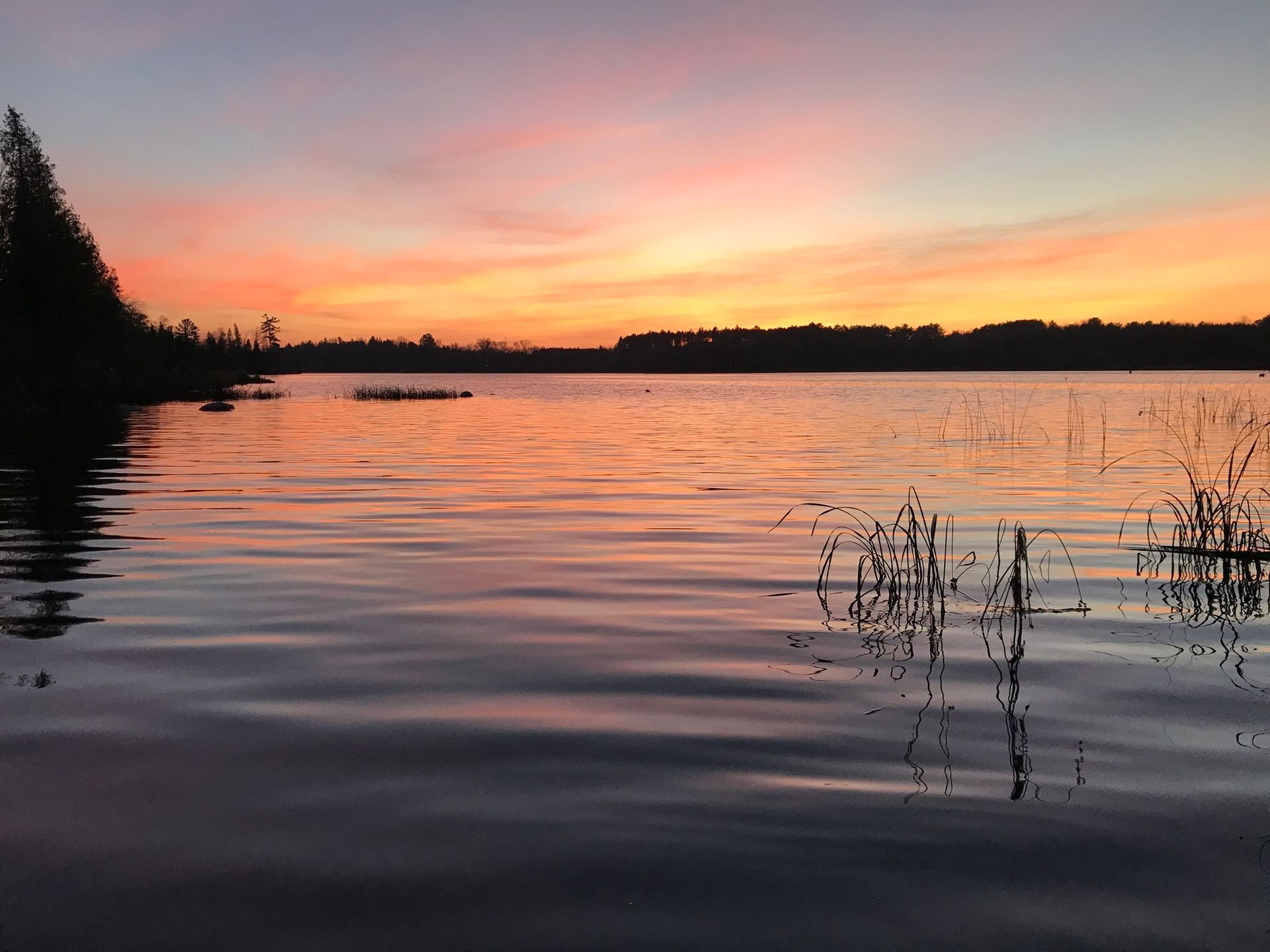 A sunset over a lake with trees in the background