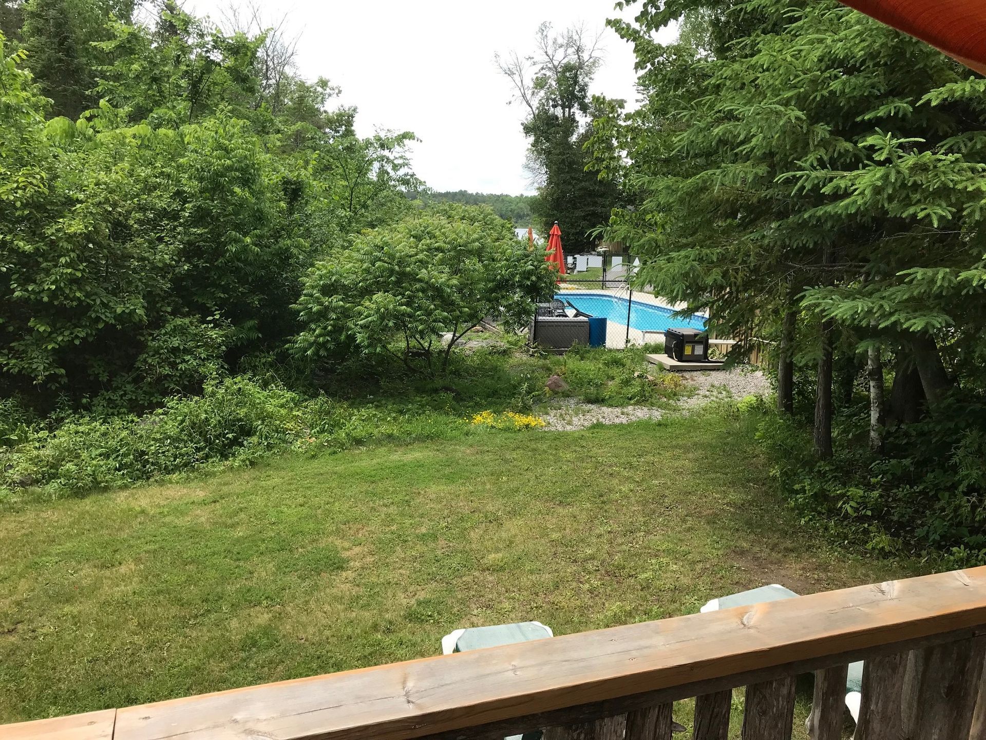 A view of a swimming pool from a deck surrounded by trees.