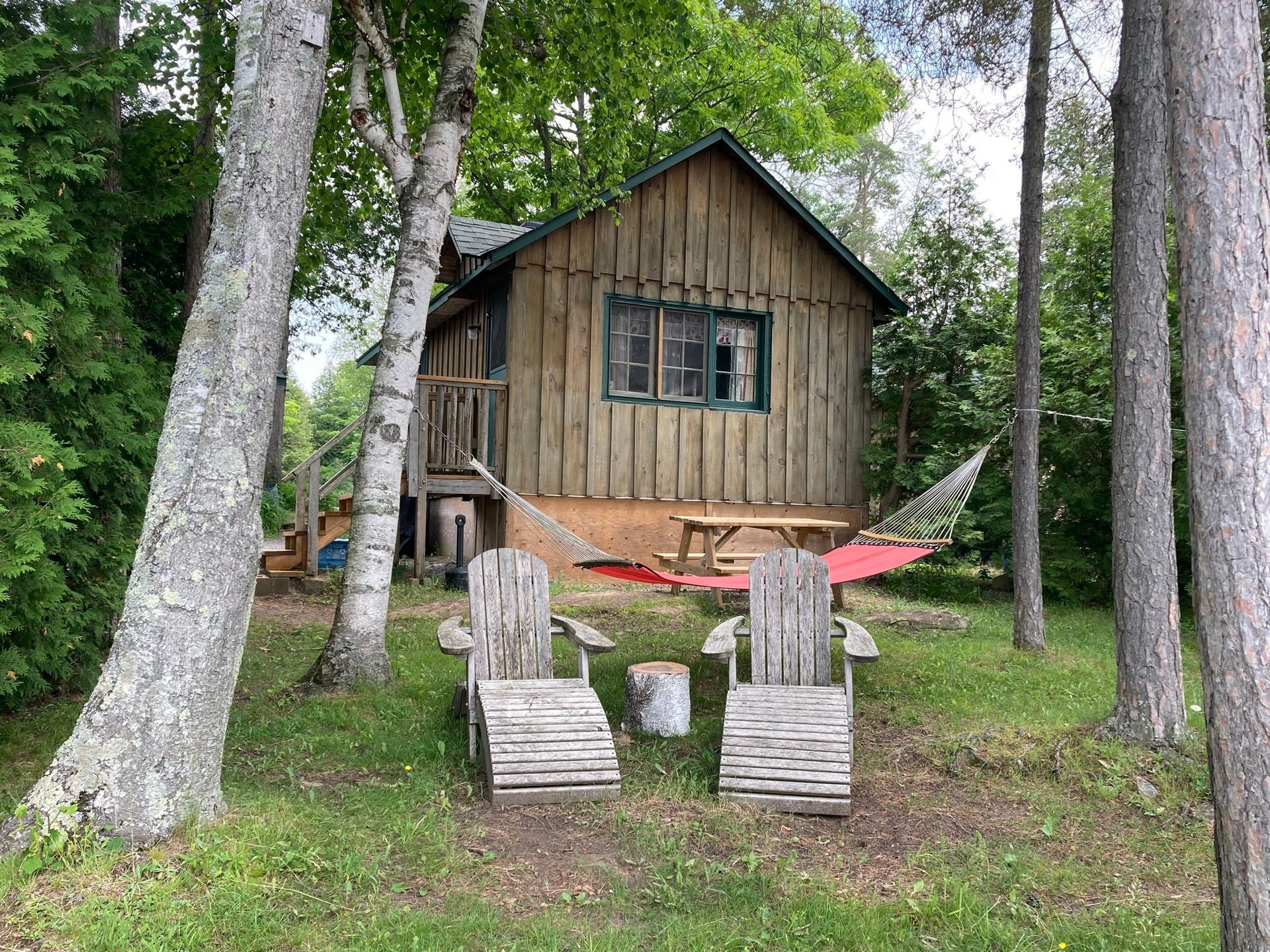A small wooden cabin in the middle of a forest surrounded by trees and chairs.